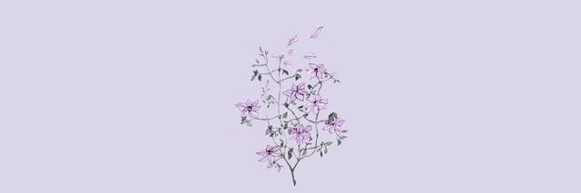 mirigarcia99's profile banner image