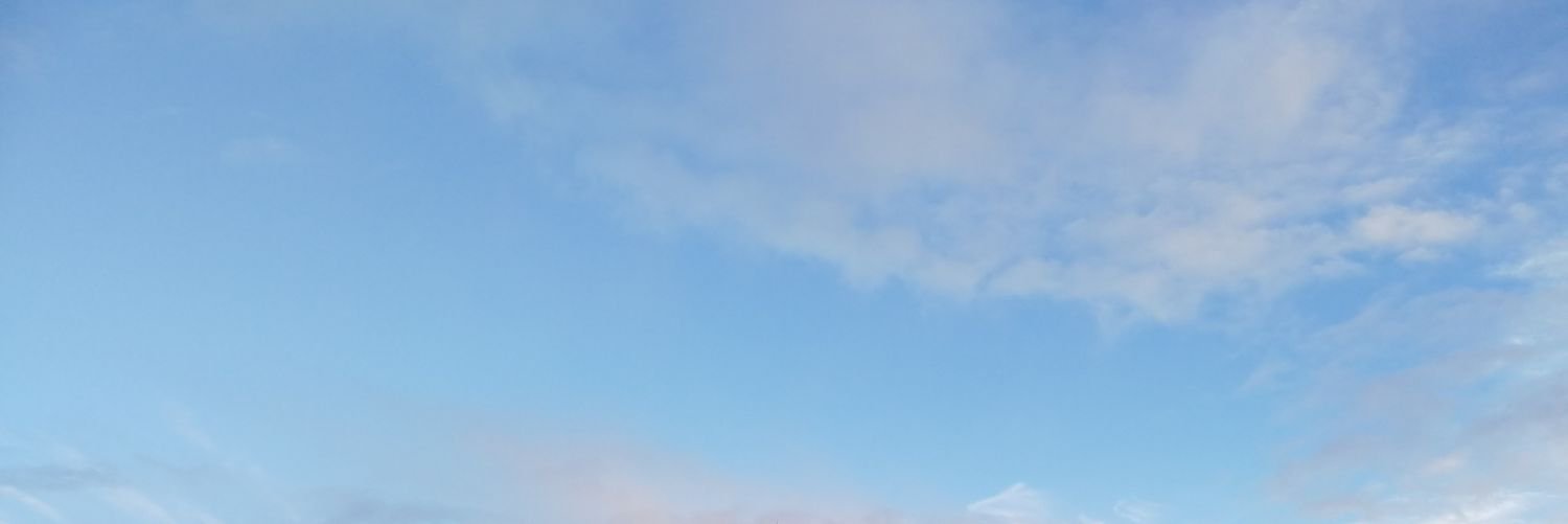 AlbertoRey's profile banner image