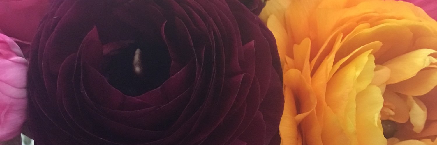 CarrolOsborne's profile banner image