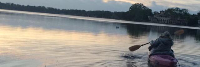 ginger banner