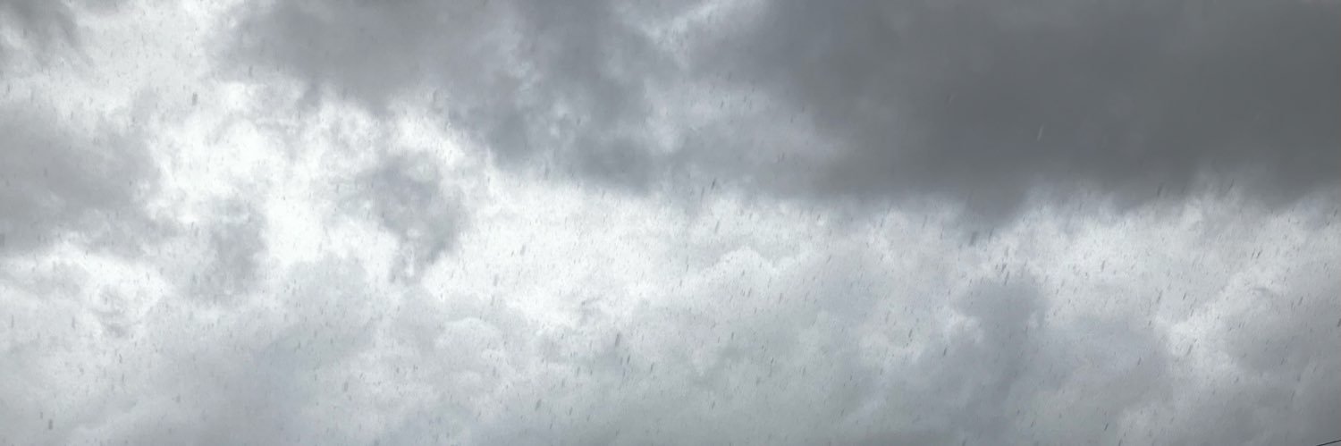 Taffybird1's profile banner image