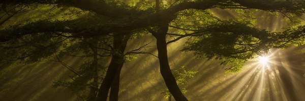 matbennett Profile Banner