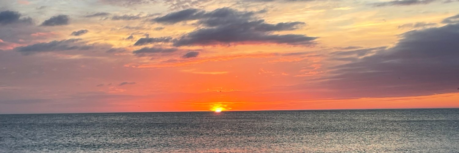 jessicawohl's profile banner image
