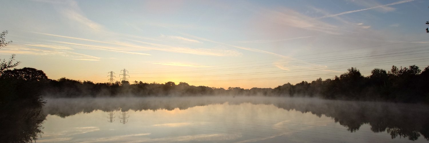 New Forest District Council banner