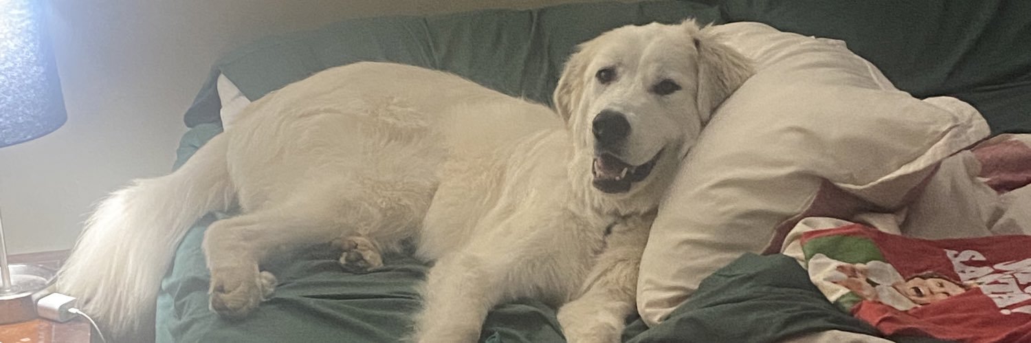 Daisy❤️stheBraves banner