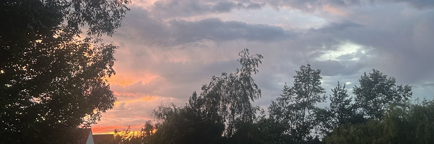 imcalleddee's profile banner image