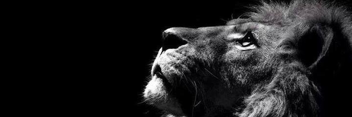 elRoger05's profile banner image