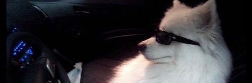 088 banner