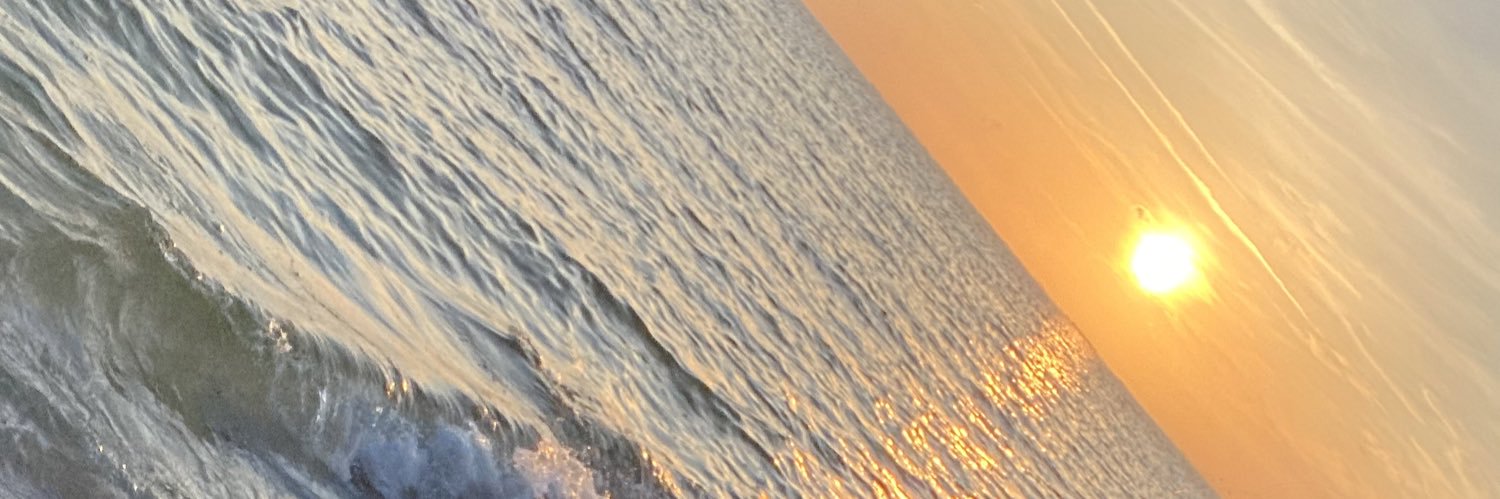 MarlaneRogers's profile banner image