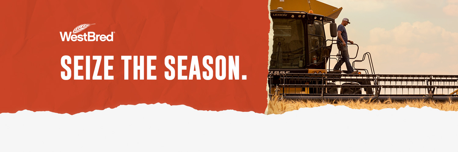 WestBred Wheat (@WestBredWheat) / Posts / X