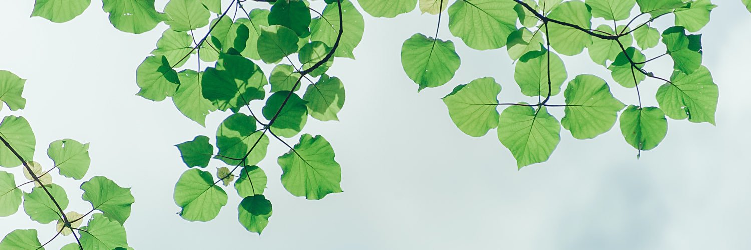 WastepackGroup banner