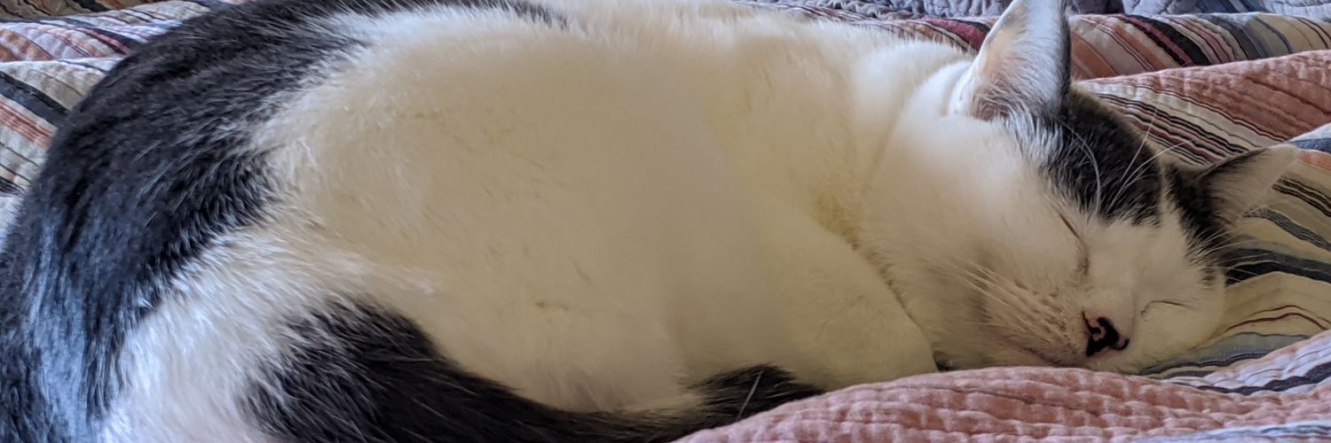 JustAKeever's profile banner image