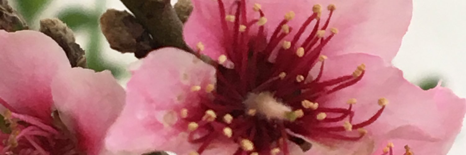 bruxx0212's profile banner image