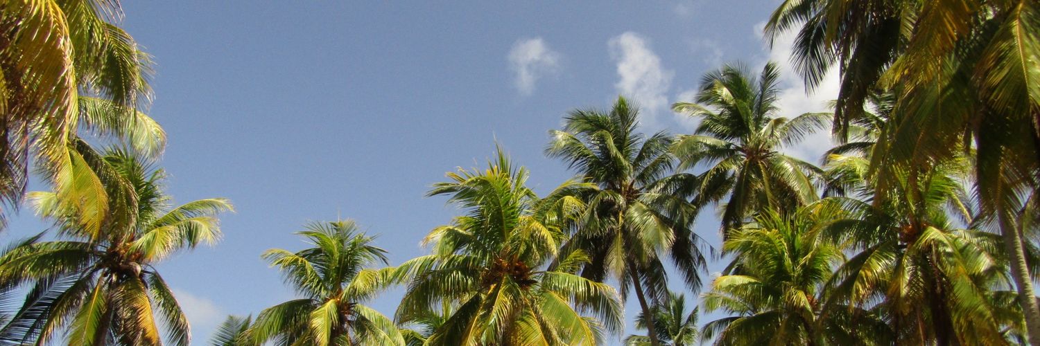 1patodehule's profile banner image