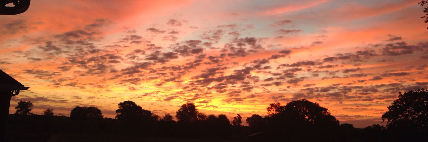 layton_m's profile banner image