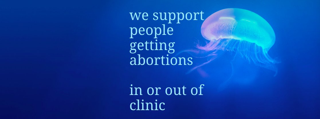 Bay Area Abortion Doula Project banner