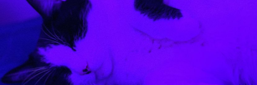 lexanac's profile banner image