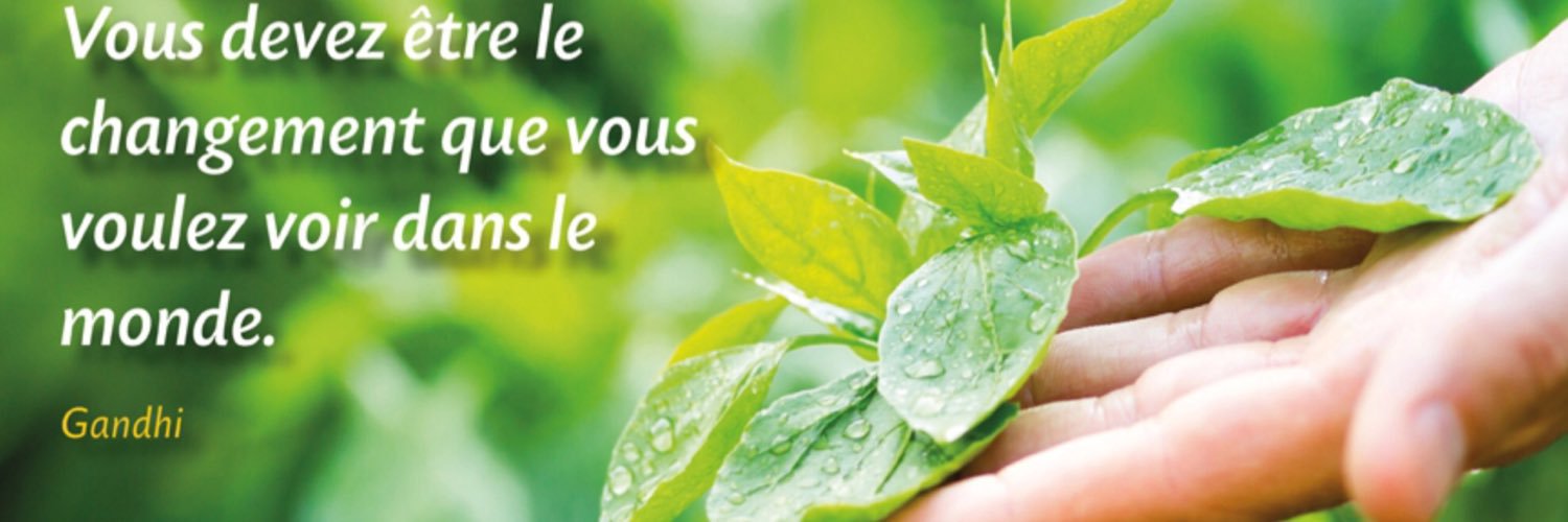 Jean Michel BUF banner