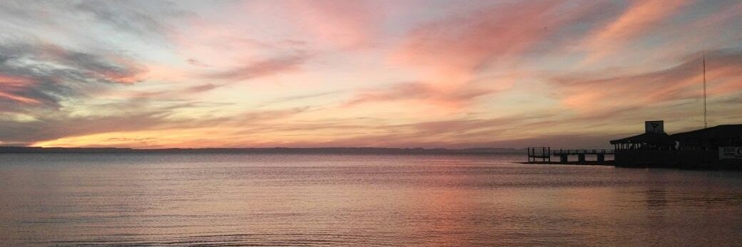 olhuer's profile banner image