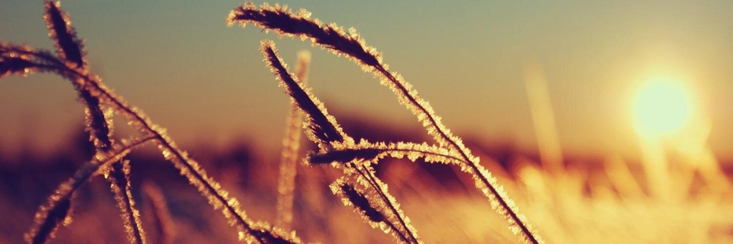 tamarkarman's profile banner image