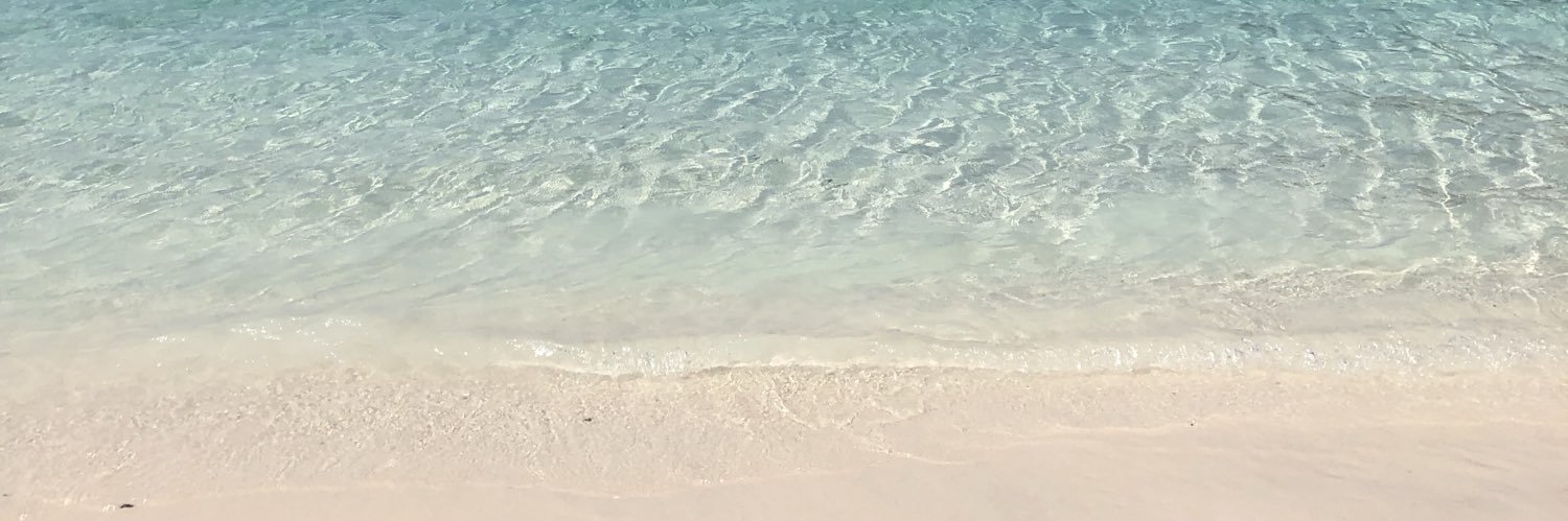 AnnaaDenison's profile banner image