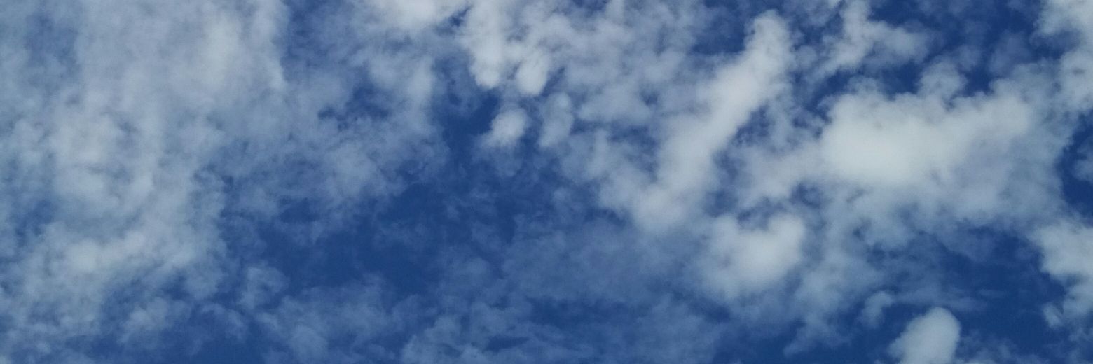 NacyPautasso's profile banner image