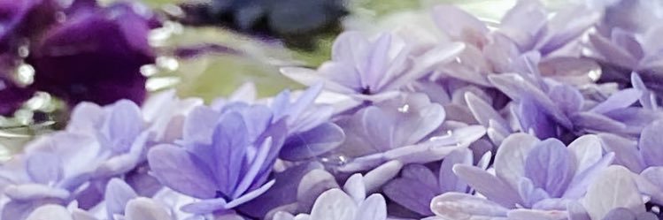 sora_vc's profile banner image