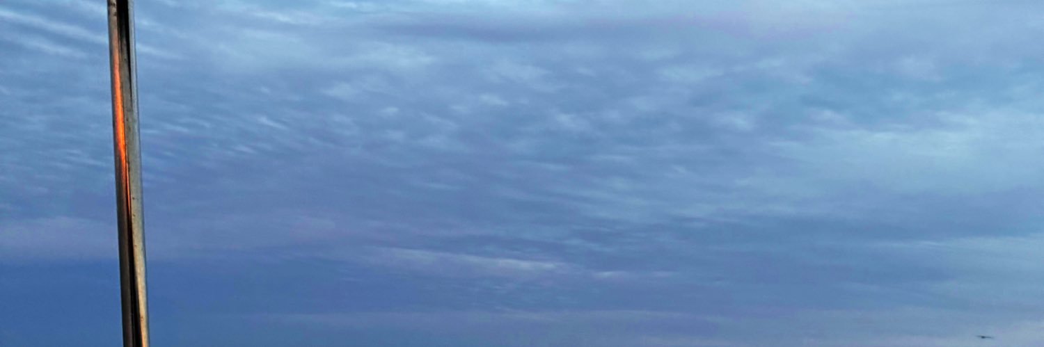 Paucamachol's profile banner image