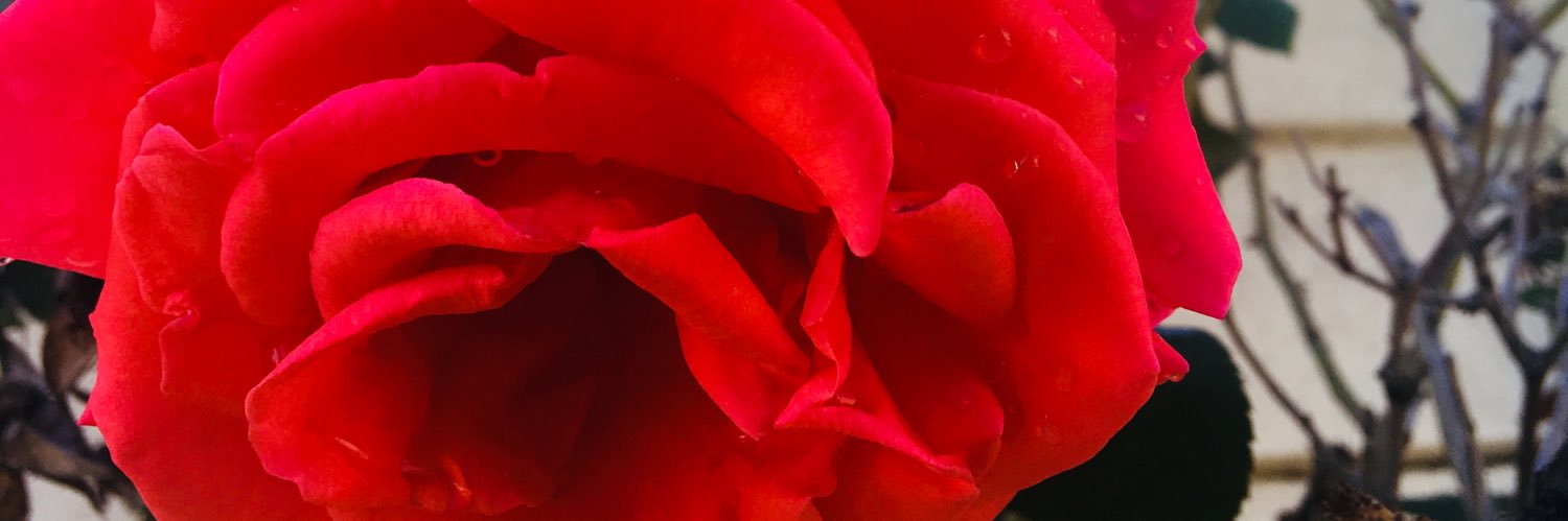 annakudzai's profile banner image
