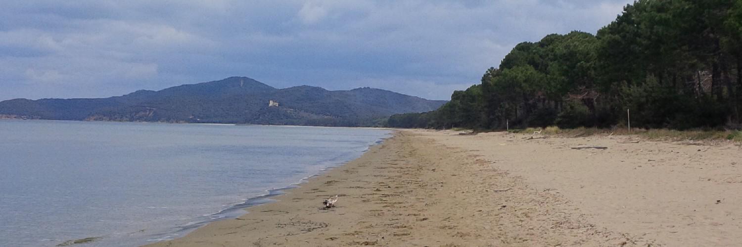MarinaInverni's profile banner image