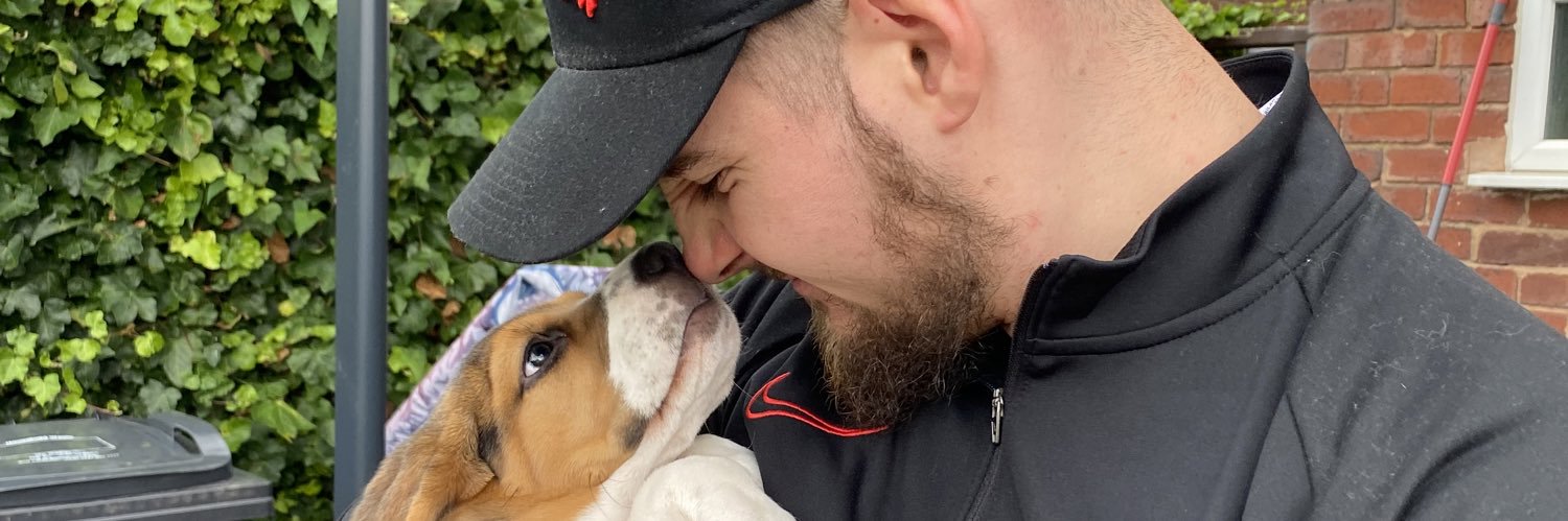 mellamoola's profile banner image