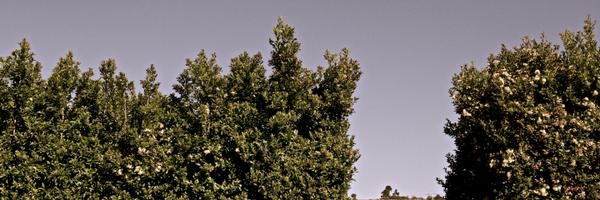 effluck Profile Banner