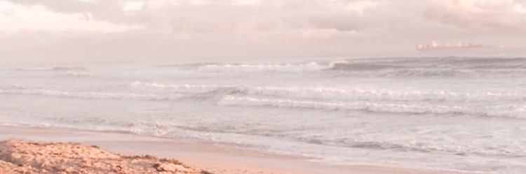 taylor jesse banner