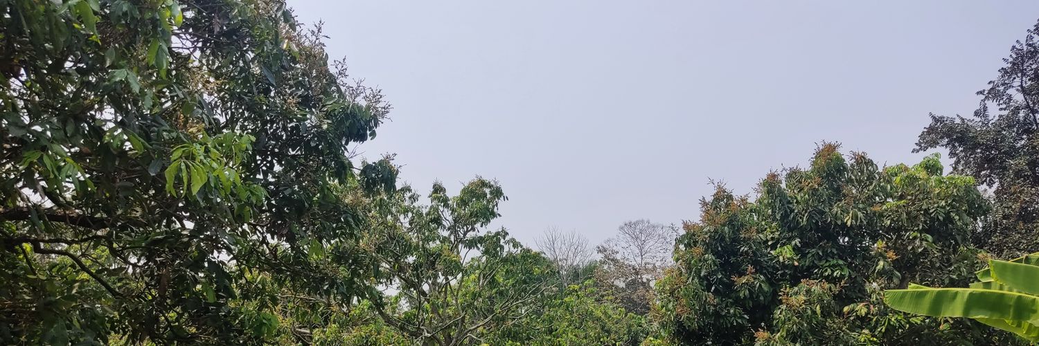 thaibbw's profile banner image