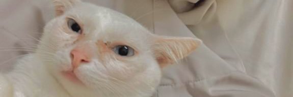 adinfkry's profile banner image