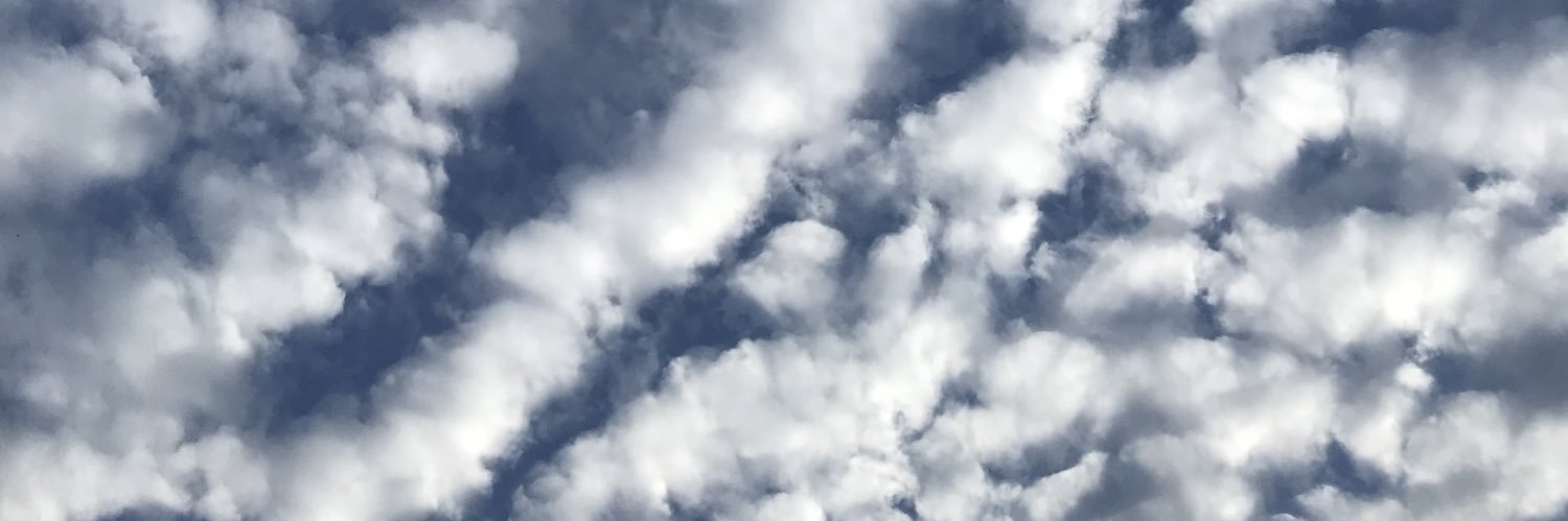 mintereddie's profile banner image