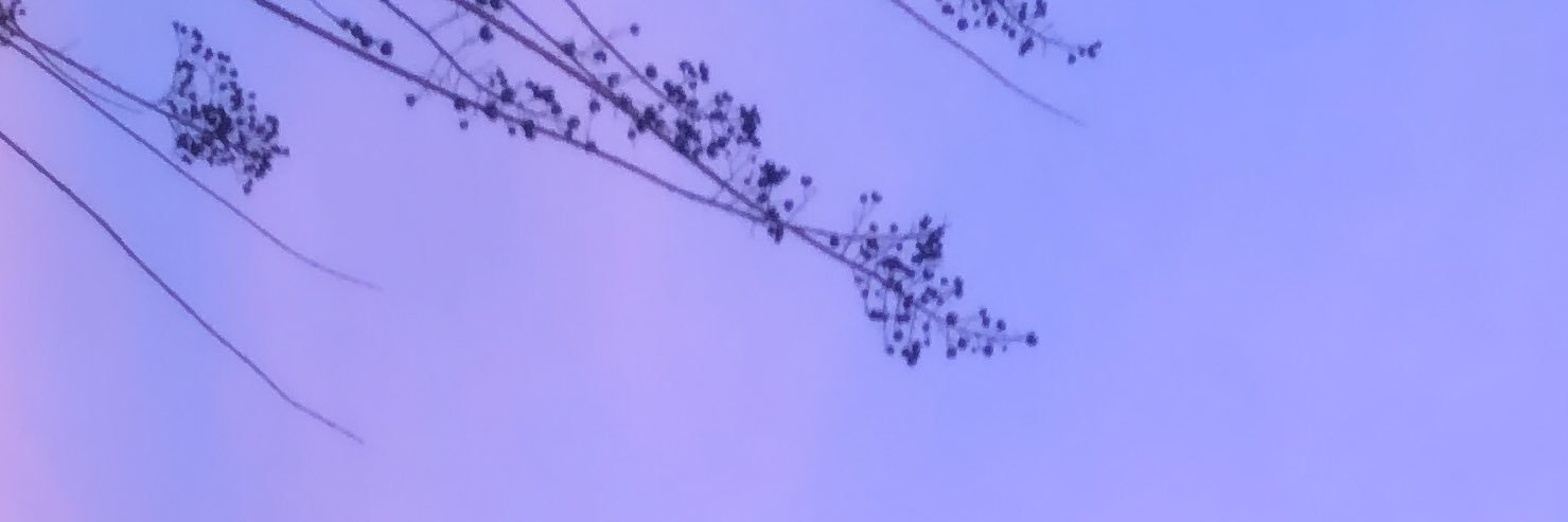 AbbieJayy4's profile banner image