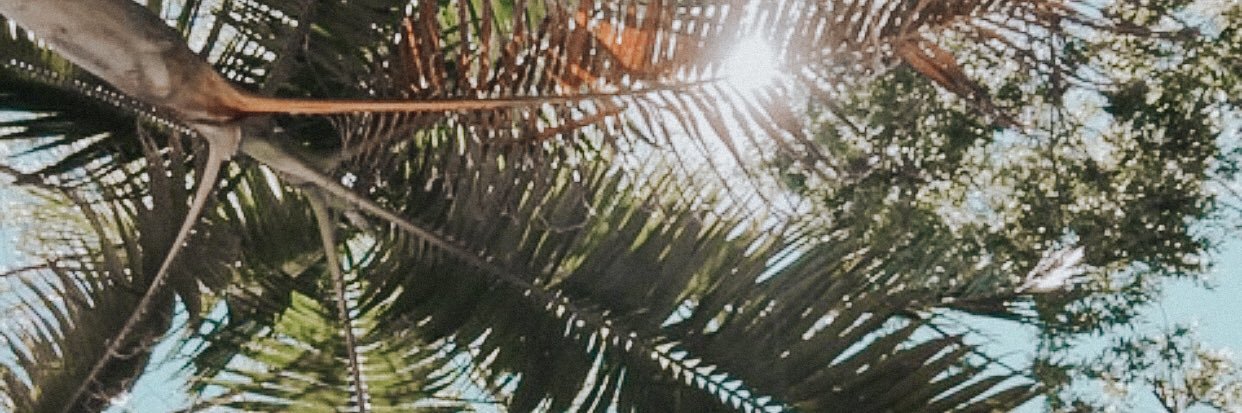 bellaagos's profile banner image