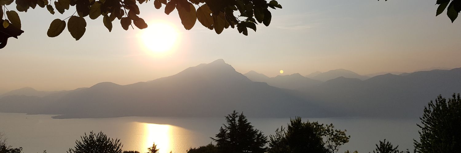 arthurknibbe's profile banner image