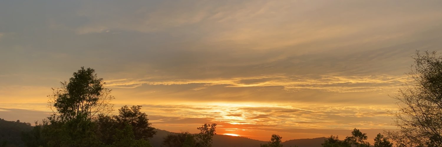 leleeeex3's profile banner image