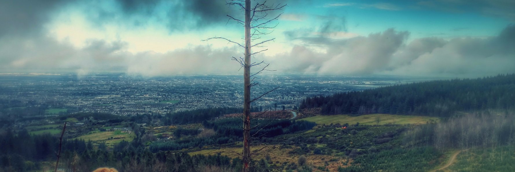 1briandelaney's profile banner image