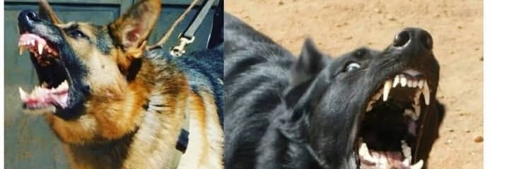 Robinson Murithi banner