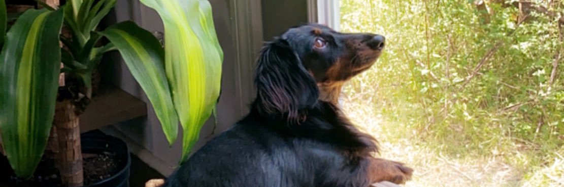 Kaitwadss's profile banner image
