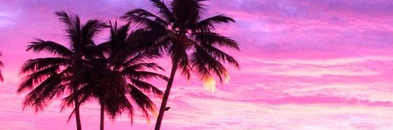 ayshaxv's profile banner image