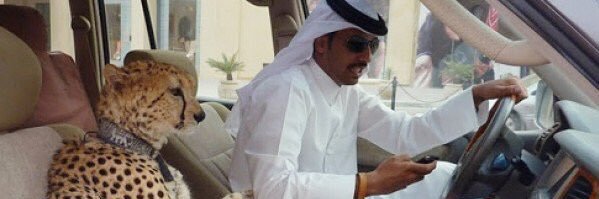 asko_24's profile banner image