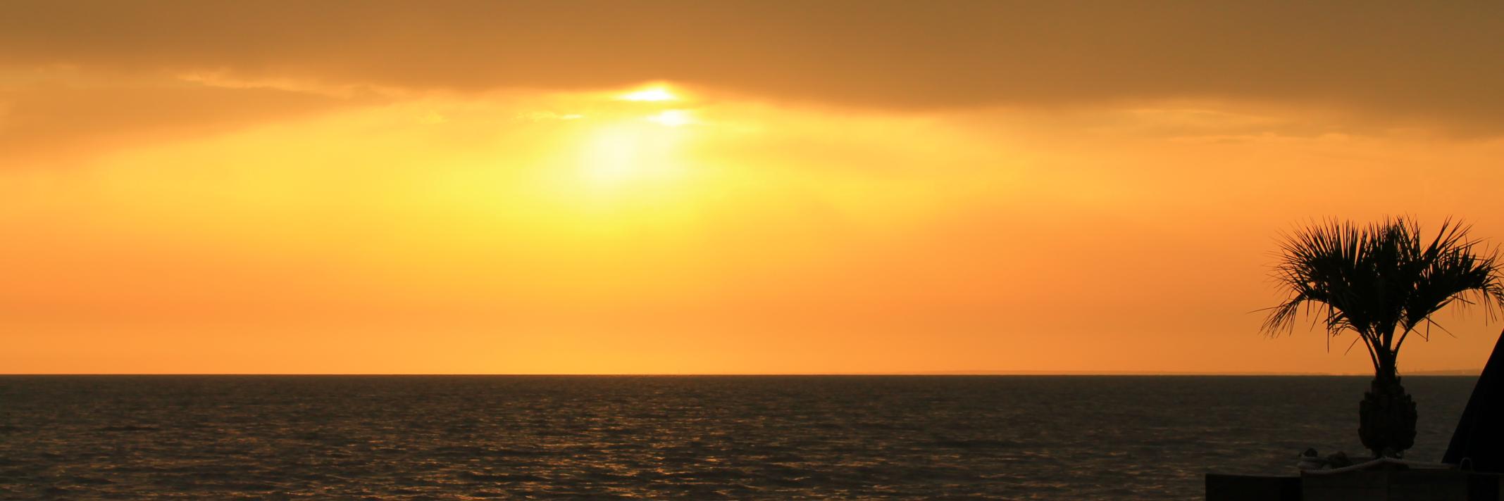 EnzoCouteau's profile banner image