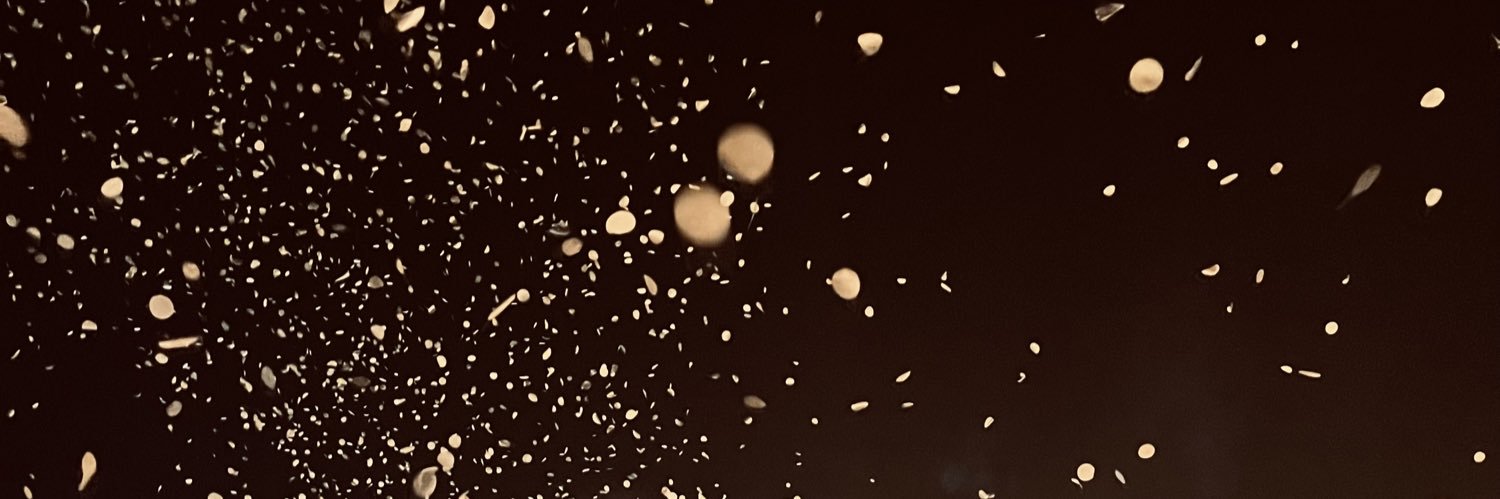 CheldelSea's profile banner image