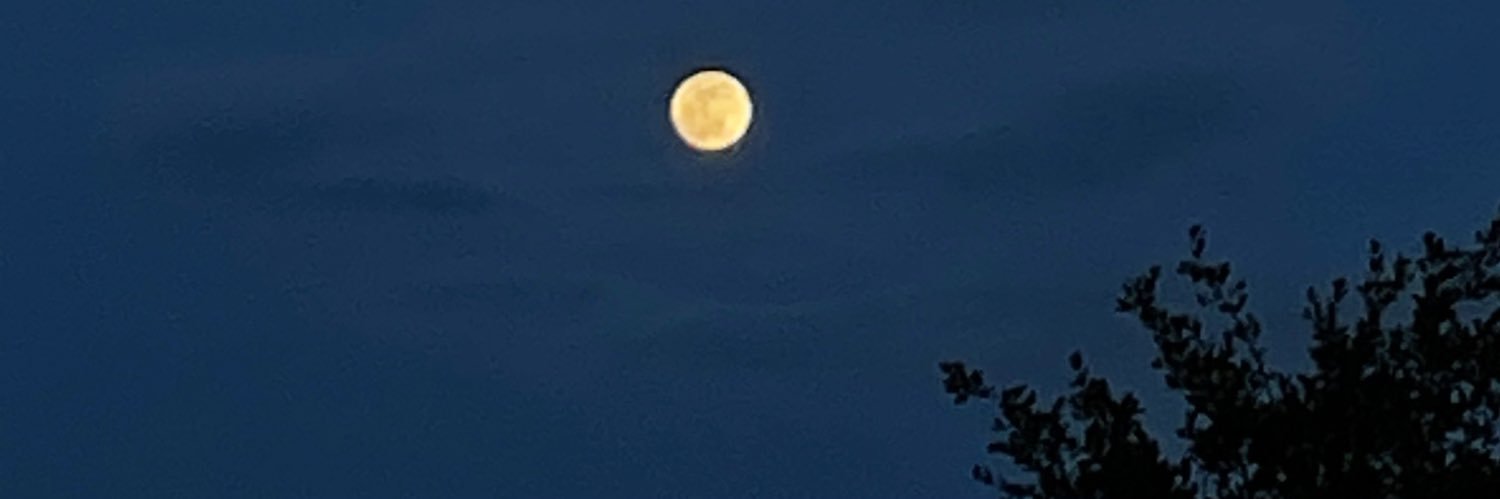radicalmarixa's profile banner image