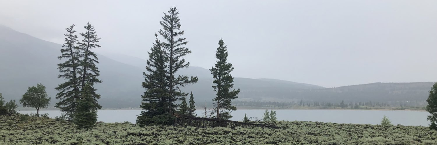 Yfat Yossifor banner