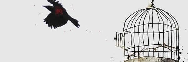 النُخبَة banner